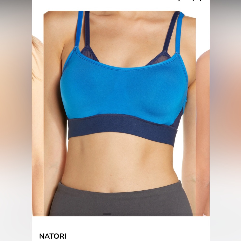 Natori Blue & Navy Sports Bra